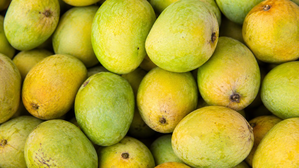 Fresh mangoes stacked in the seasonal fruit section at Swadesh Supermarket, Kensington area of Saskatoon