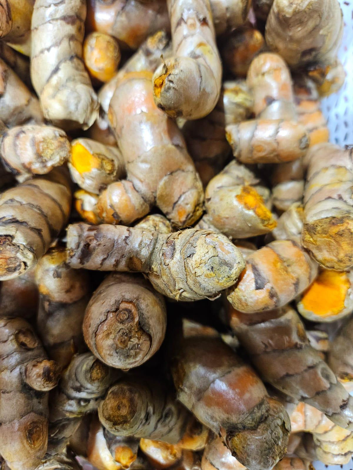 Fresh turmeric root among South Asian spices at Swadesh Supermarket on 22nd Street, Saskatoon