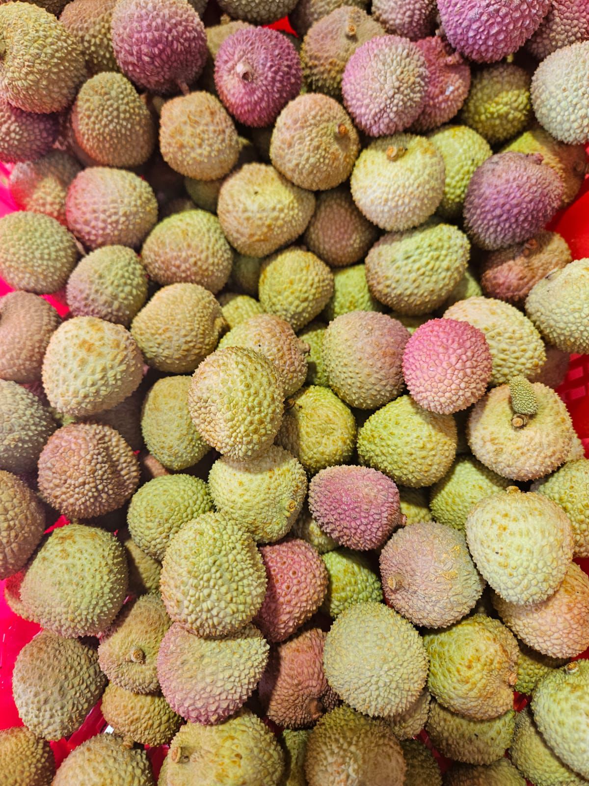 Fresh lychee at Swadesh Supermarket, South Asian grocery in west Saskatoon